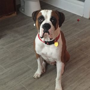 Meet your Posher, Leeann